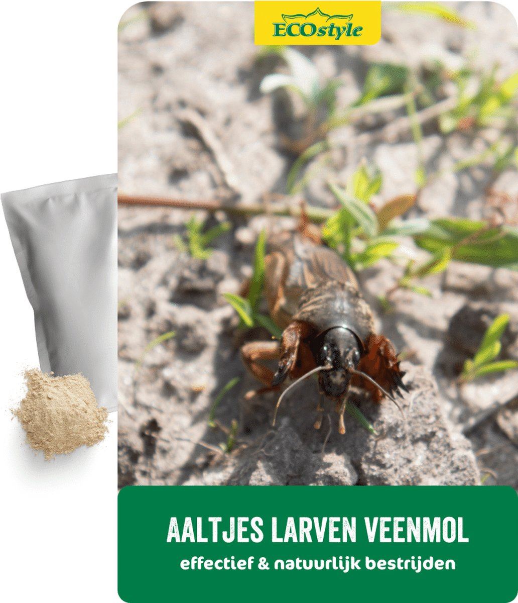 Aaltjes-FC-tegen-veenmol-10-mln-60-m-