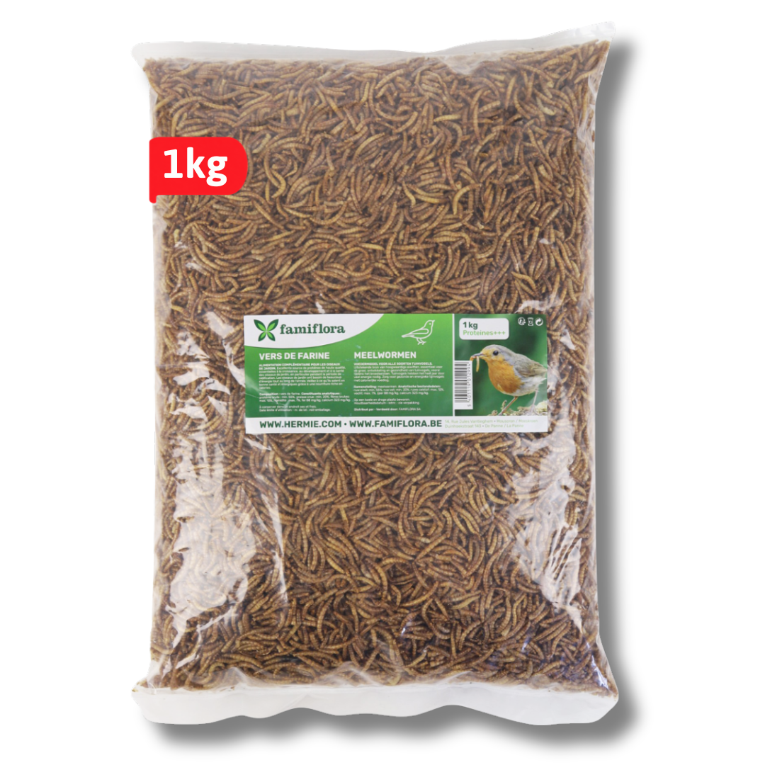 Famiflora gedroogde meelwormen 1 kg = ± 6L in zak - voor tuinvogels