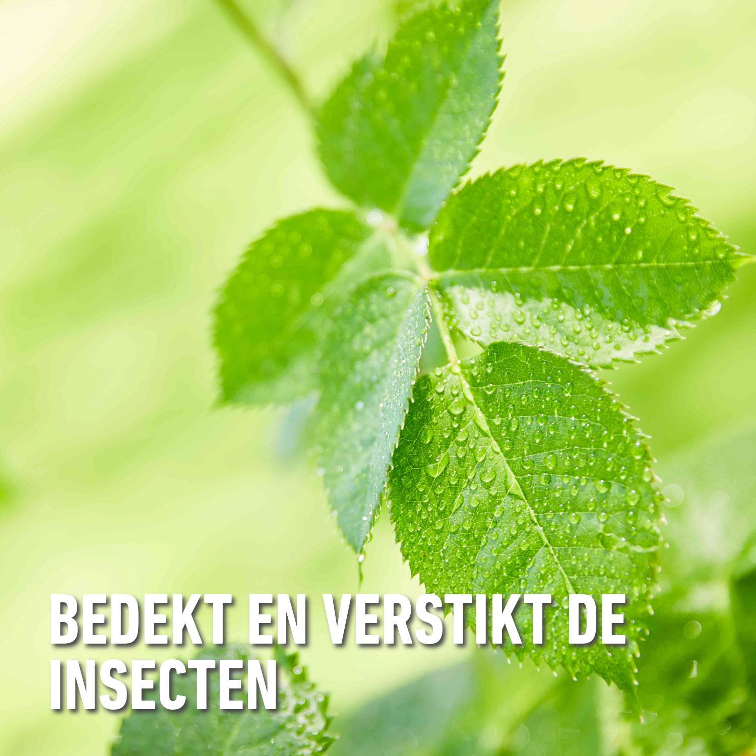 Compo-bio-insect-stop-groenten-fruit-kruiden-spray-750ml