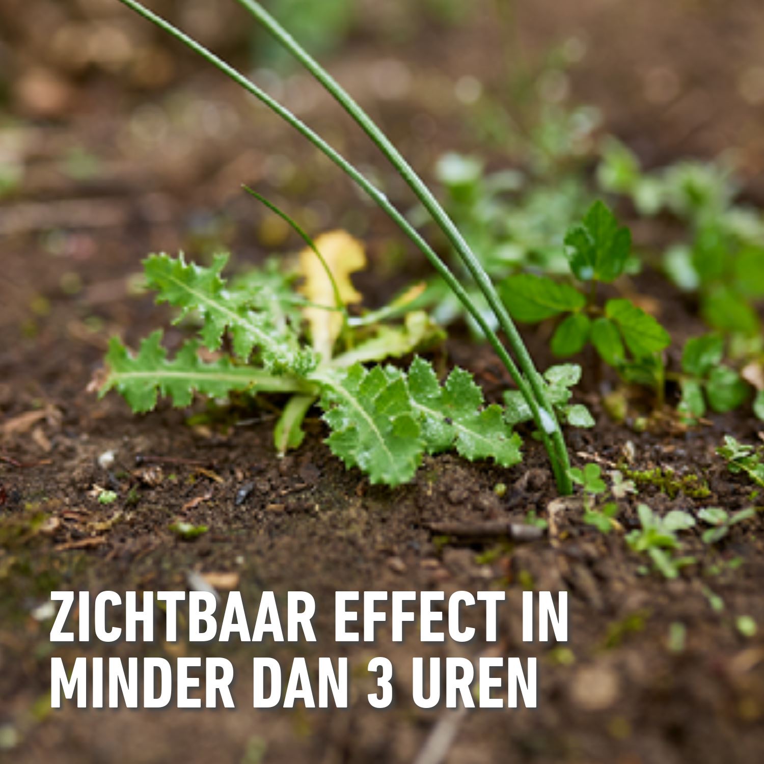 Herbistop-ready-alle-oppervlakken-25-m-2-5L