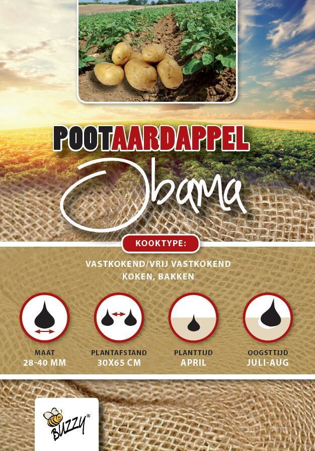 Pootaardappel-Obama-zakje-1-kg-plaagresistent-ECO