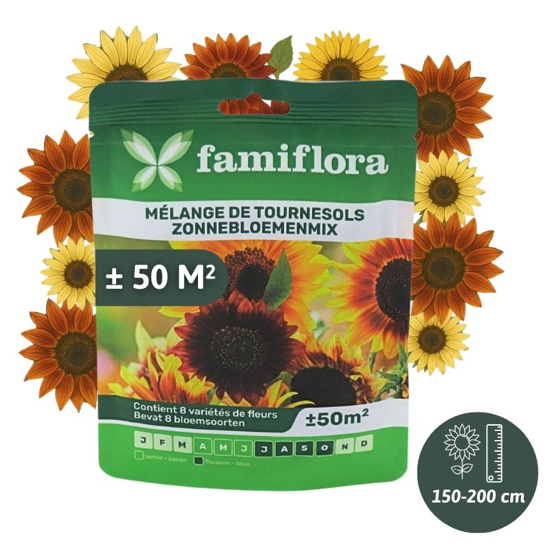 Famiflora sunflower mix flower seeds - for 50m²