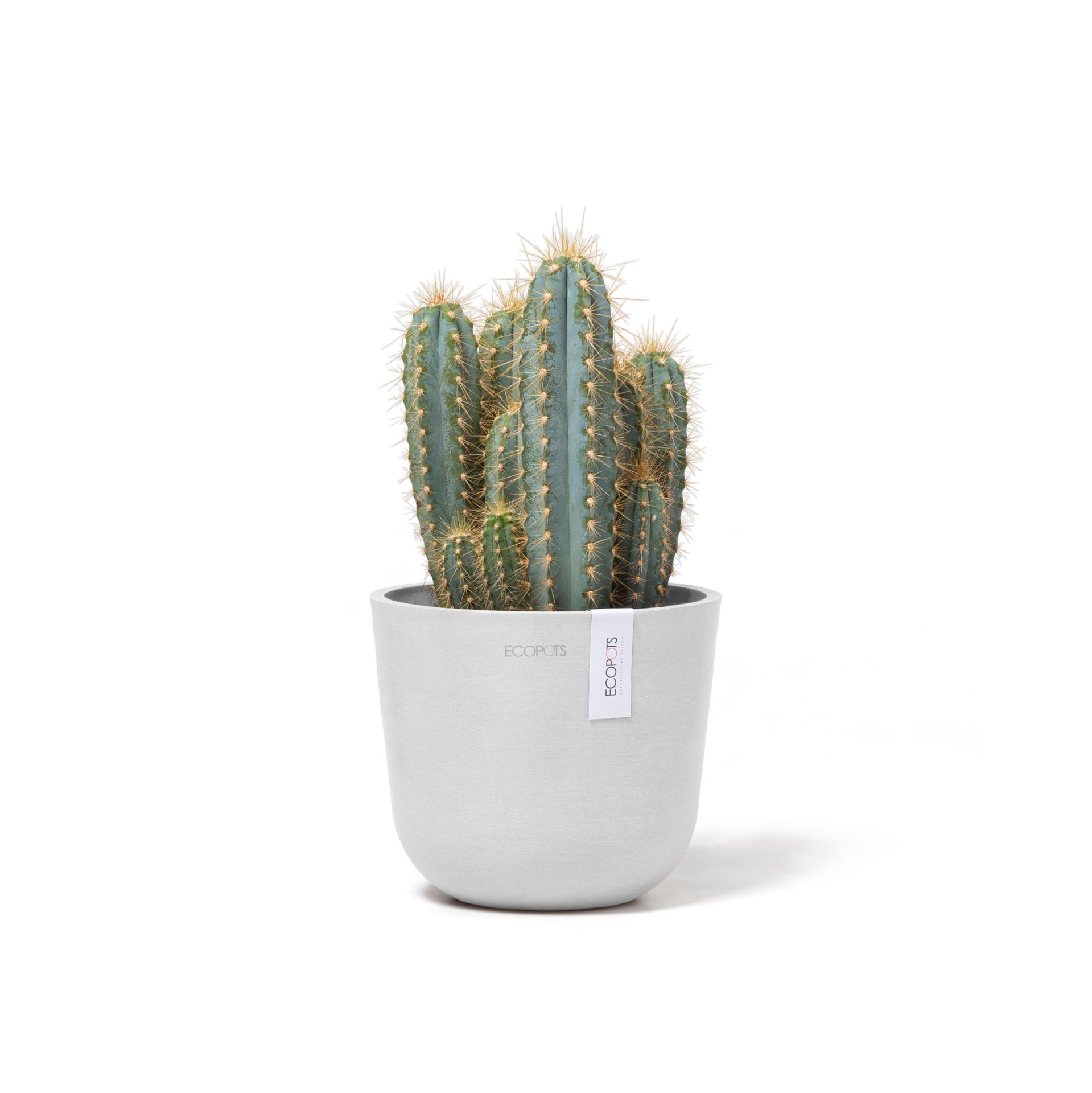 Ecopots-oslo-mini-pure-white-16-cm-H13-cm