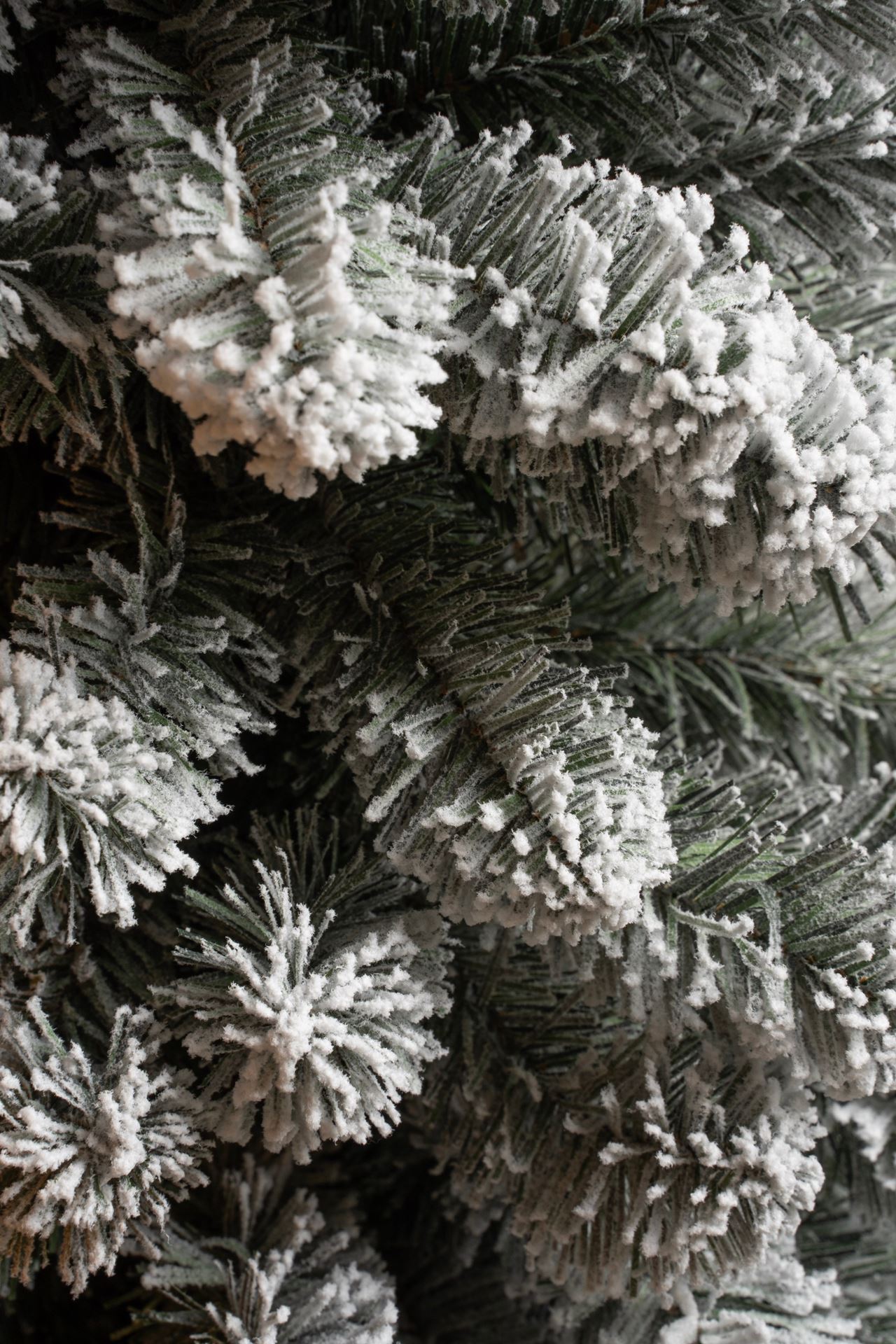 Kerstboom-Charlton-Pilar-D48xH155cm-frosted-groen