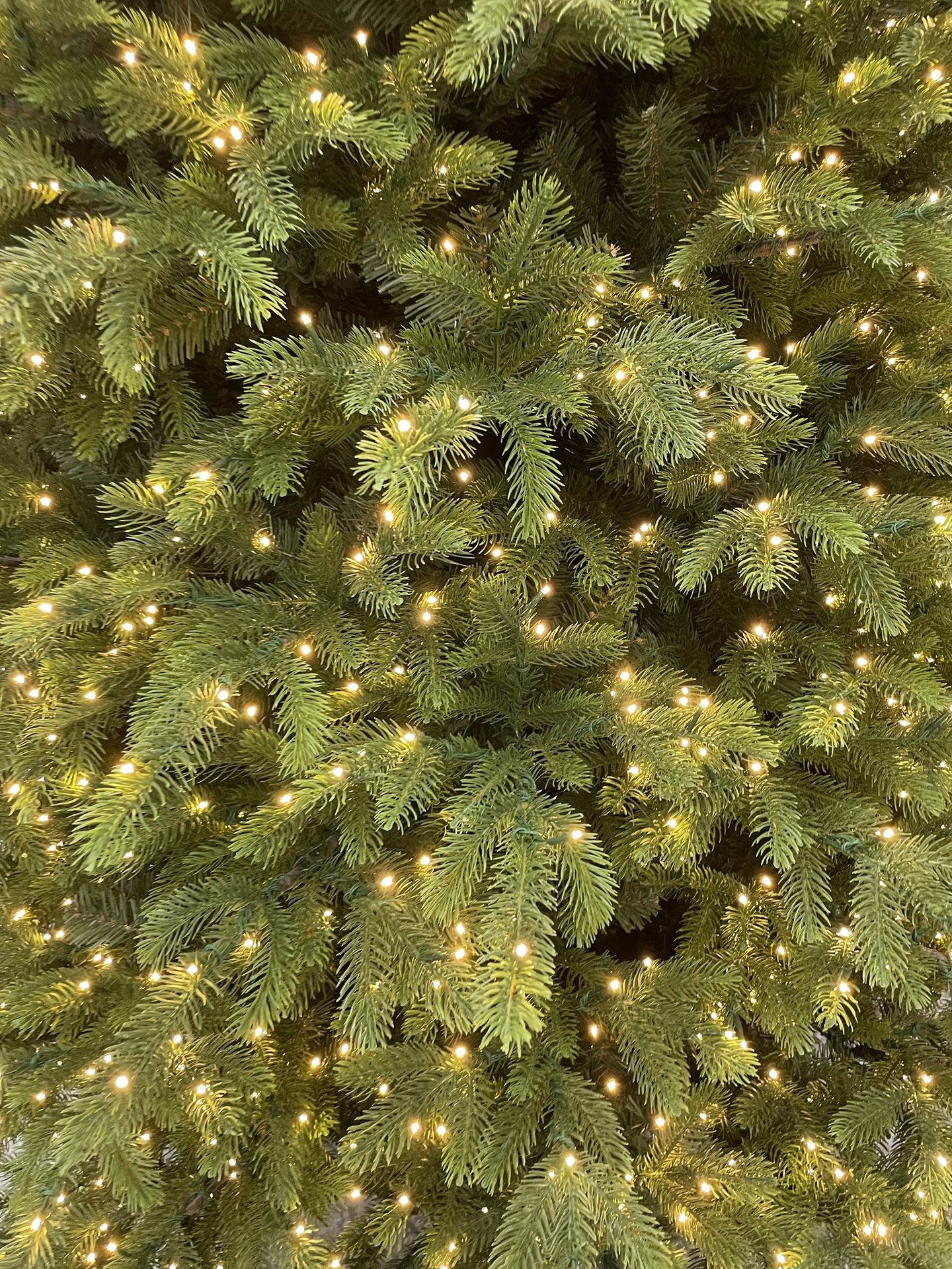 Helsinki-metal-base-h427cm-2400L-PTP-4-boxes