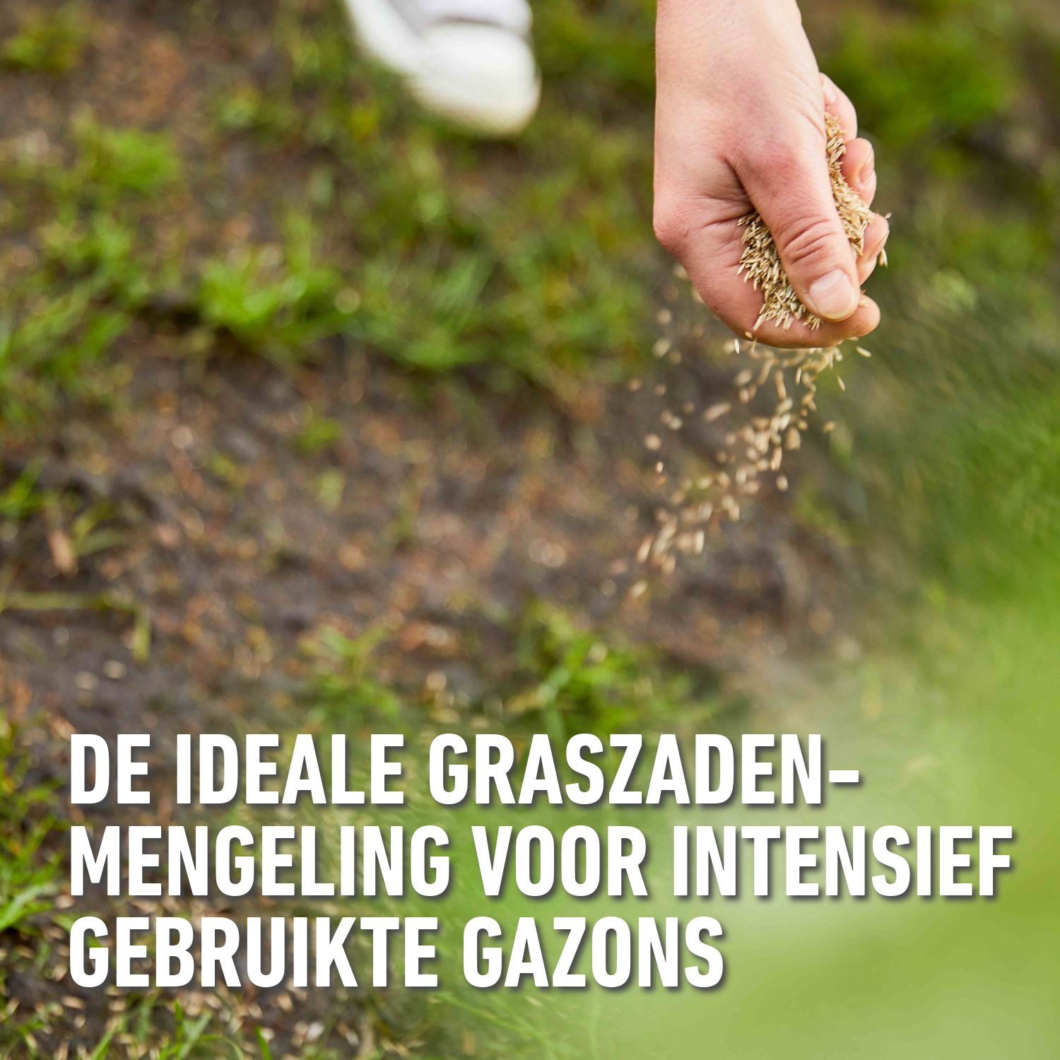 Compo-gazonzaad-sport-spel-promo-4kg