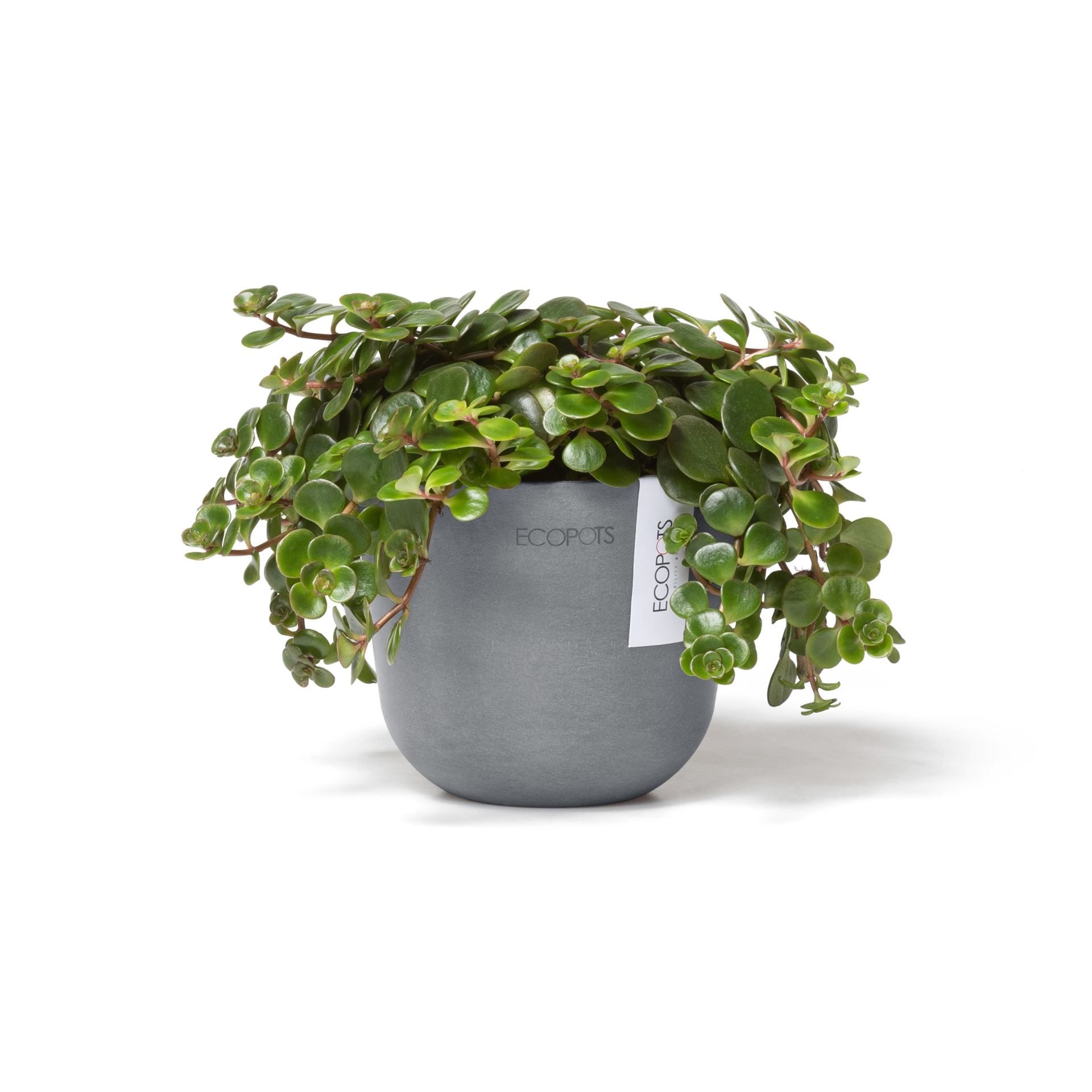 Ecopots-oslo-mini-blue-grey-11-5-cm-H10-cm