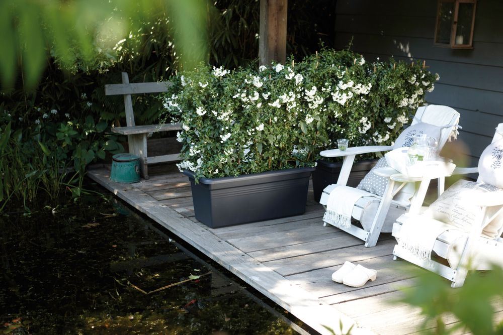 green-basics-bloembak-garden-xxl-60cm-living-black