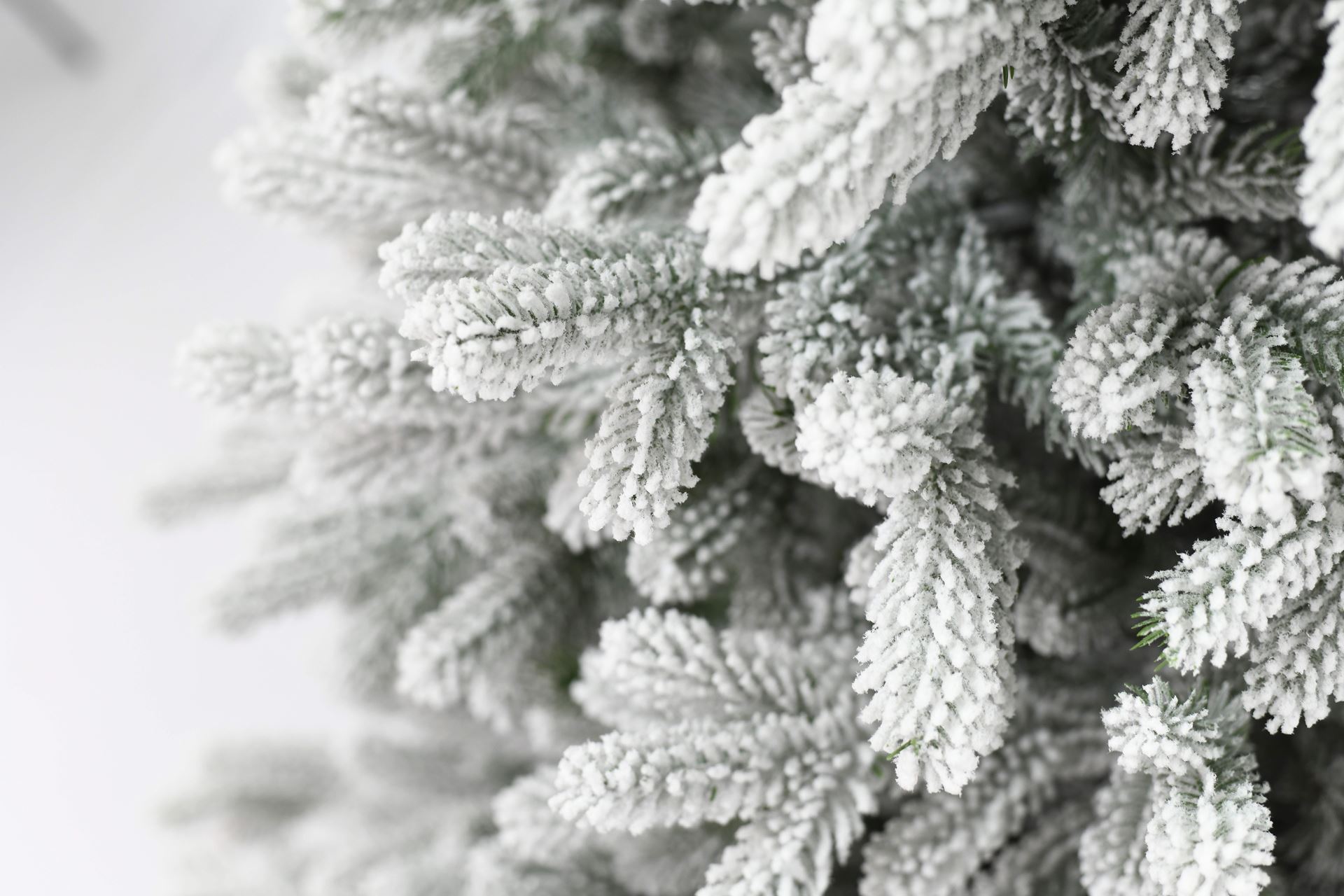 Snowy-Hamilton-Hinged-213cm