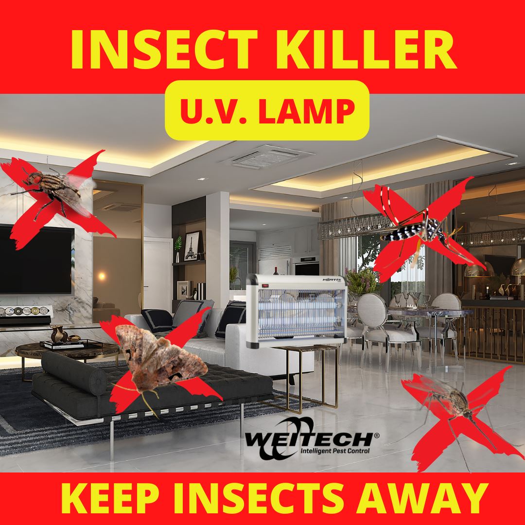 Insect-killer-UV-LED-100m-