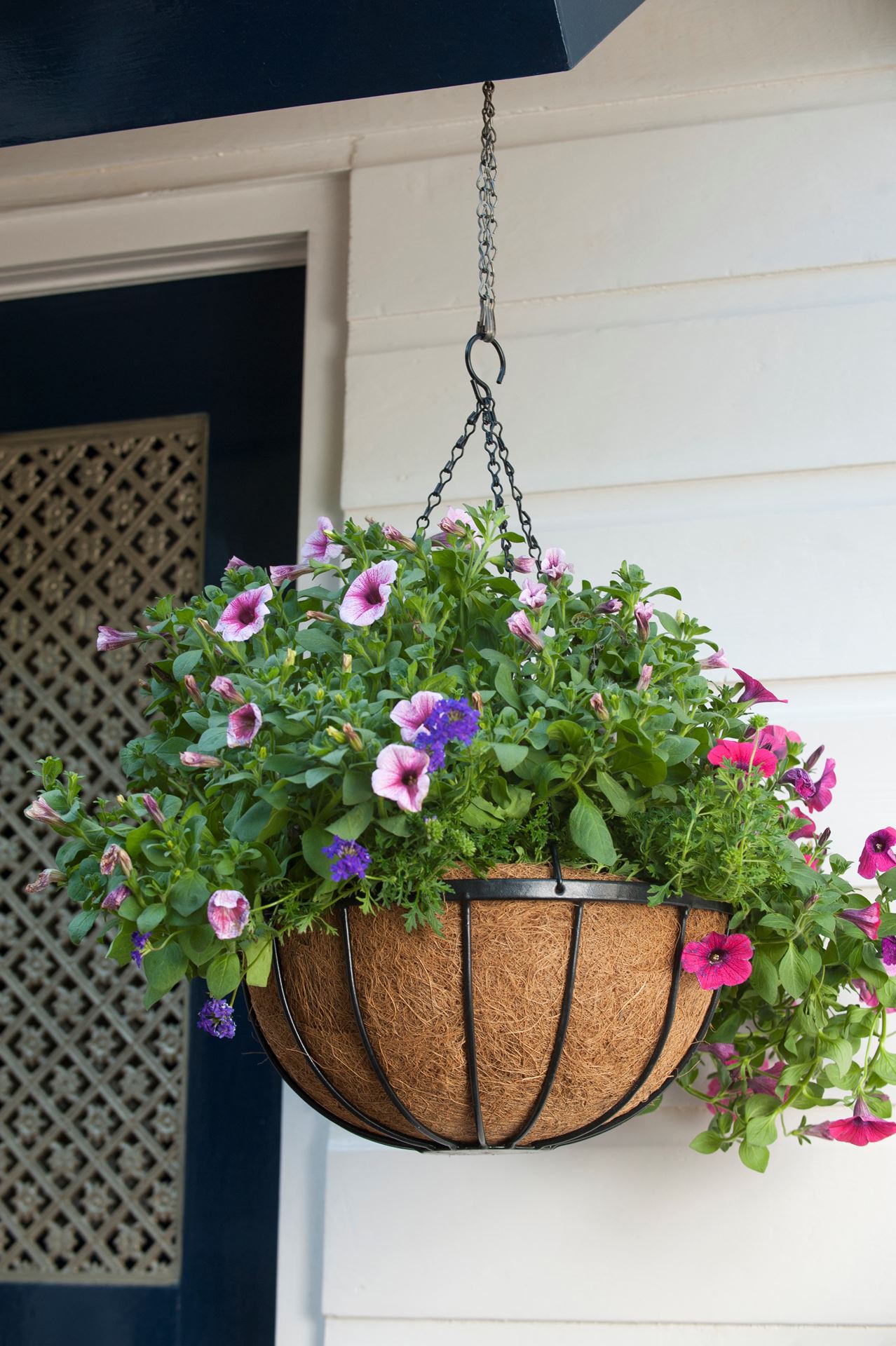 Hanging-basket-smeedijzer-zwart-incl-ketting-H20x-35cm