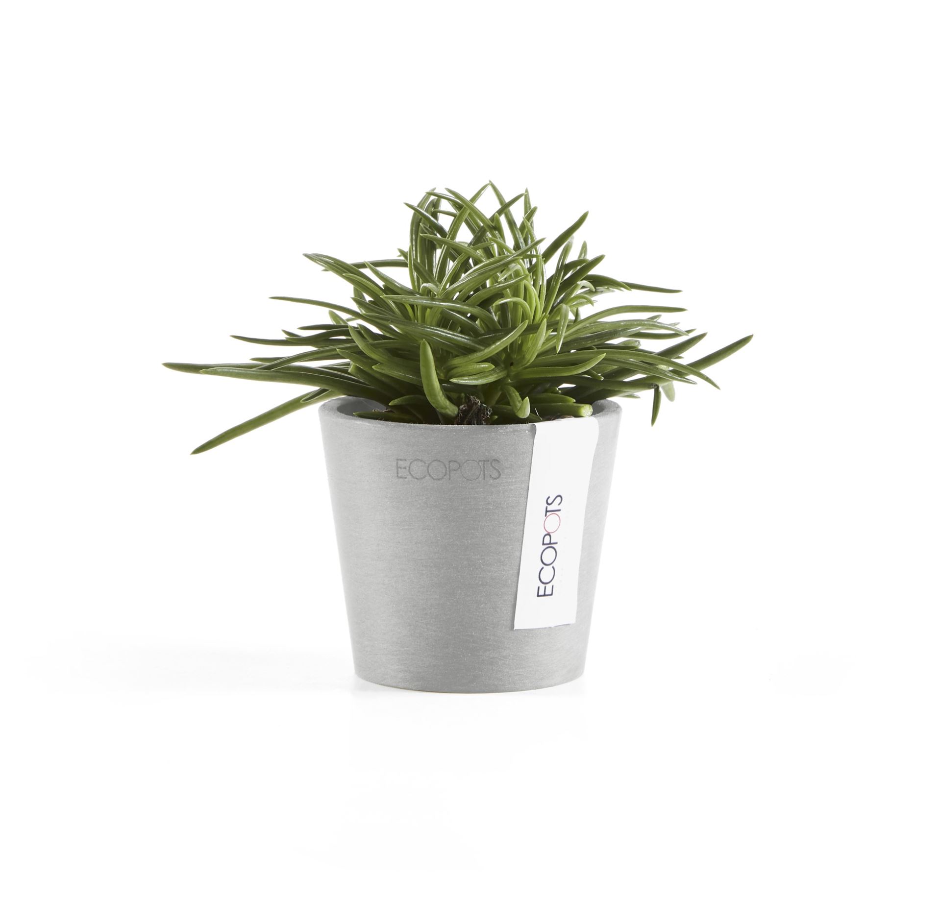 Ecopots-amsterdam-mini-white-grey-8-cm-H7-cm