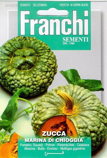 Fr-Pompoen-Zucca-marina-di-Chioggia-145-2