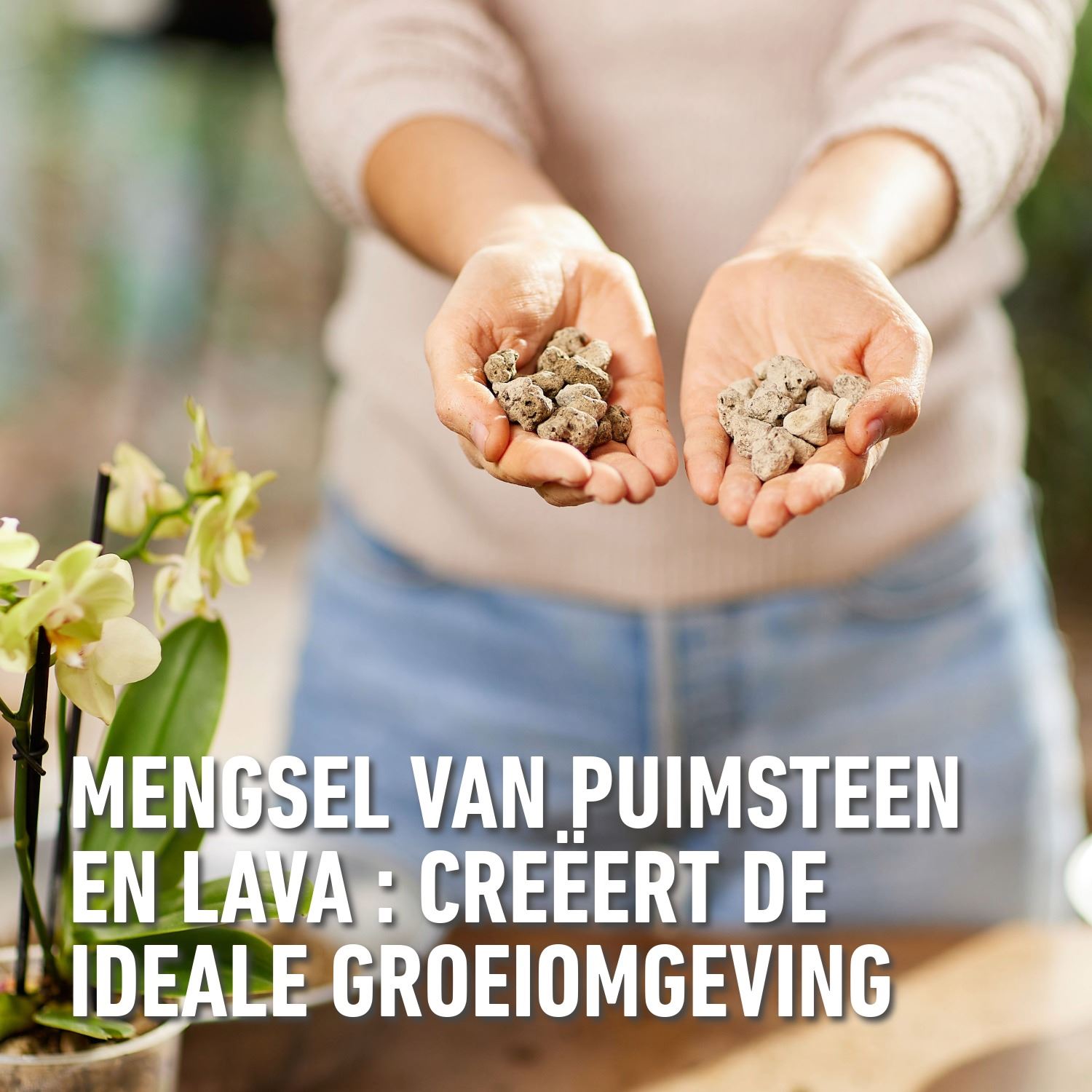 Granuplant-Orchideeen-3L