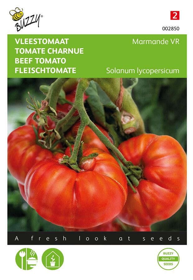 Buzzy® Flesh tomato seeds - Marmande