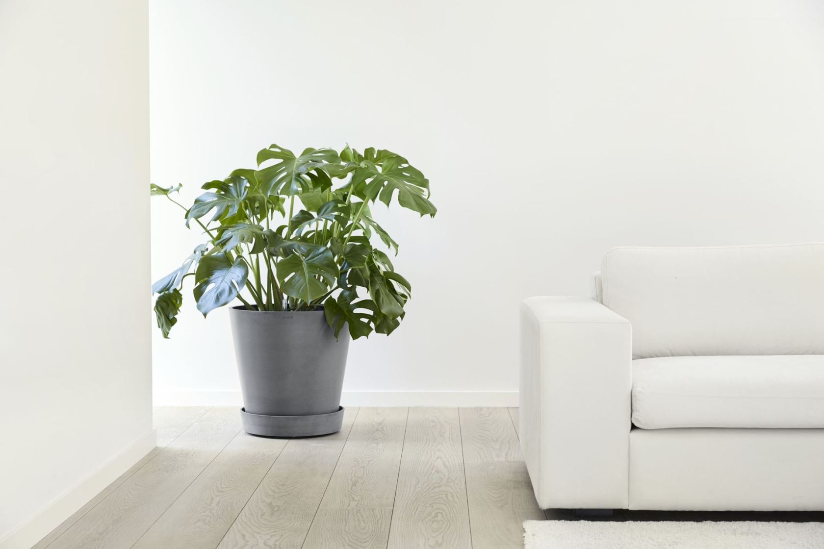 Ecopots-onderschotel-rond-met-wielen-grey-50-cm-H9-cm