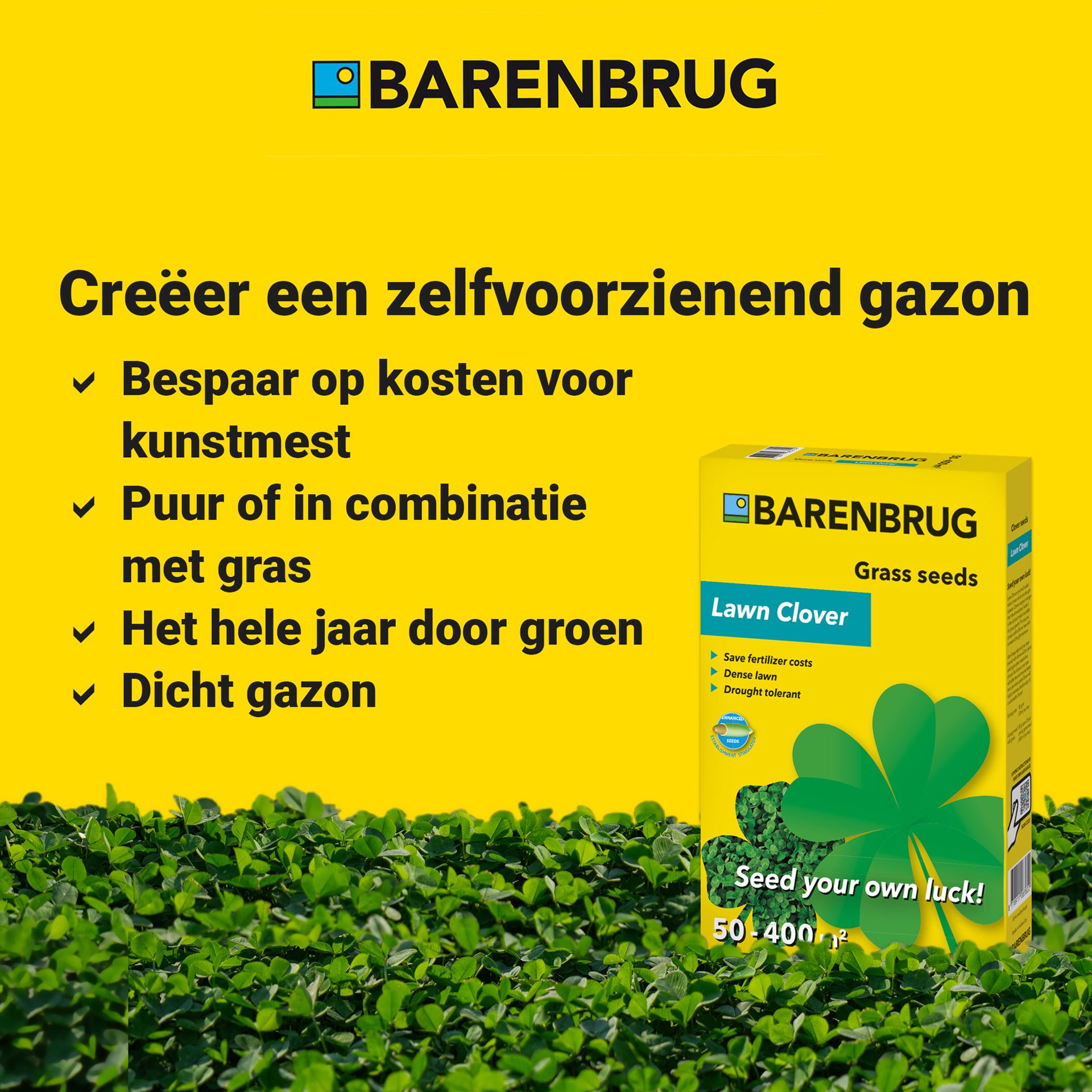 Lawn-Clover-YJ-10kg-10-100gr-100-m-klaver-om-in-gazon-of-zuiver-te-zaaien