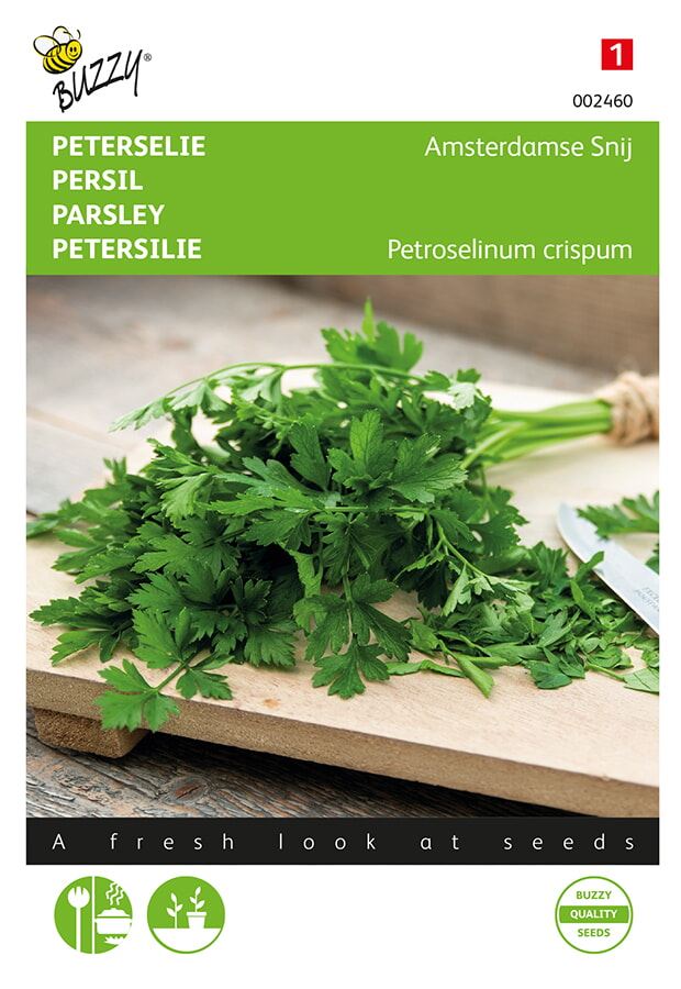 Buzzy® Parsley seeds - Amsterdam Cut