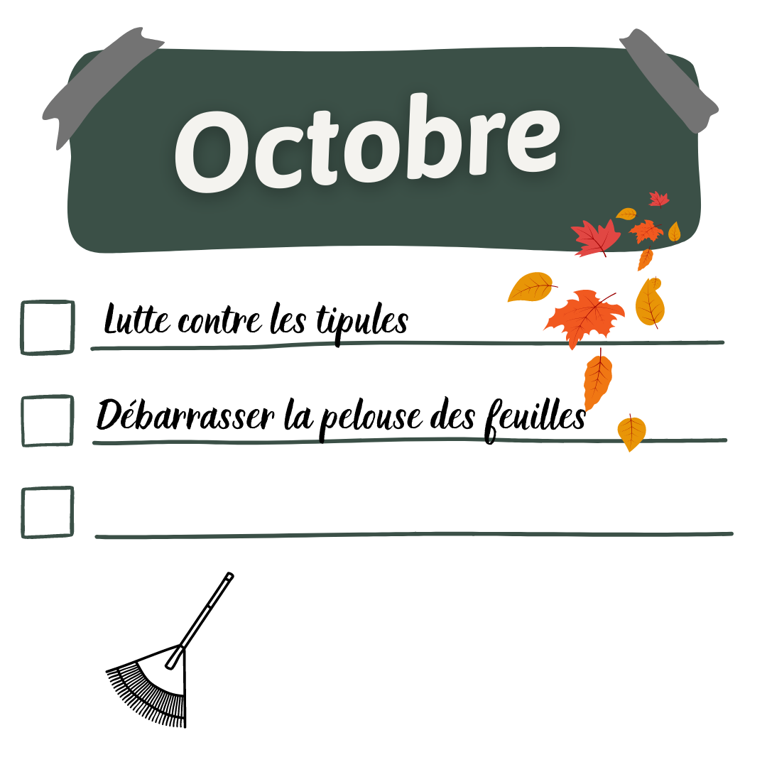 calendrier de pelouse octobre