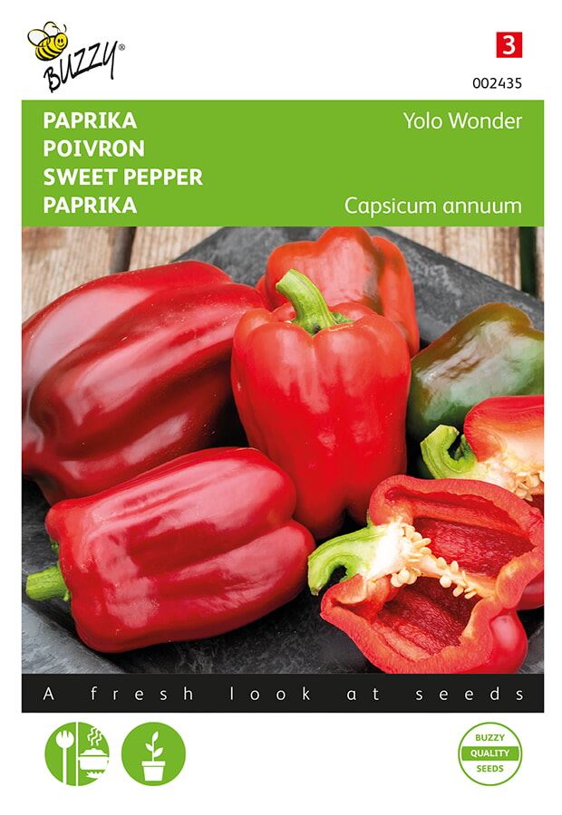 Bell pepper Yolo Wonder