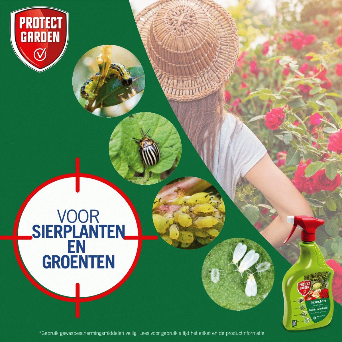 Desect-Spray-1L-Insectenspray-tegen-o-a-Luizen-Rupsen-Kevers-en-Buxusmot
