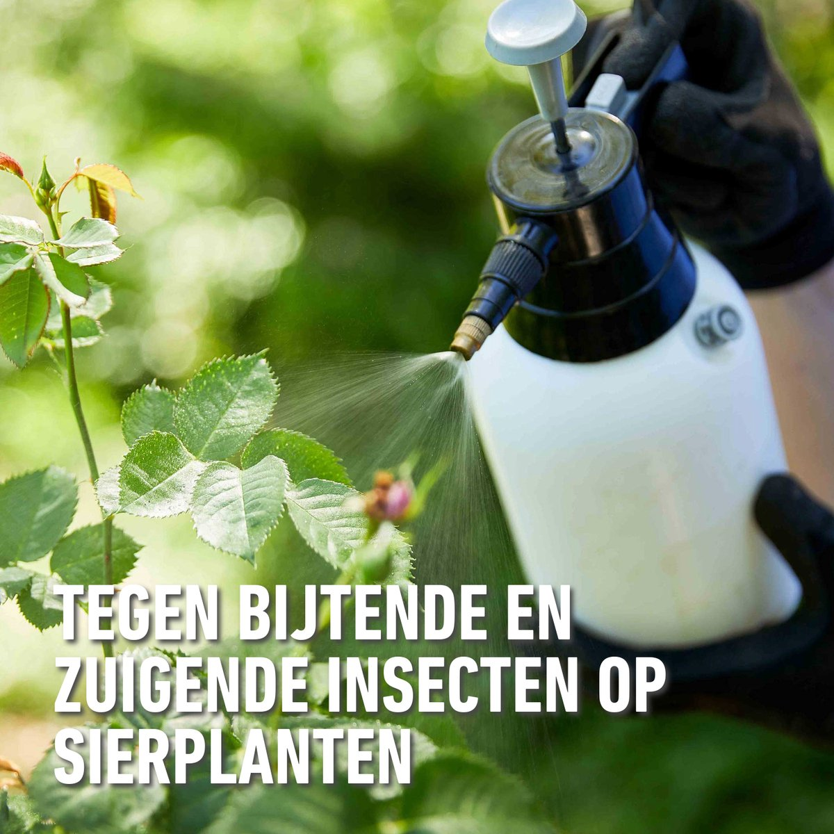 Compo karate garden 100ml - concentraat - insectenbestrijder - tegen bijtende en zuigende insecten - voor groenten, fruit en sierplanten - snelle werking - 100 m²