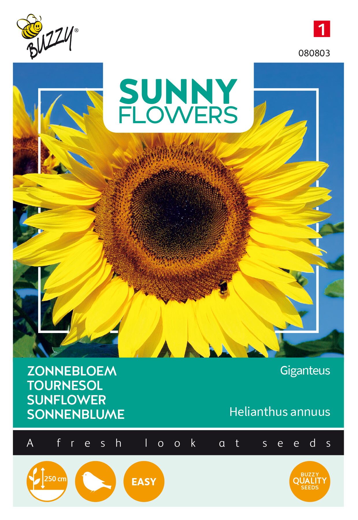Buzzy® bloemzaden - Zonnebloem - Gigant