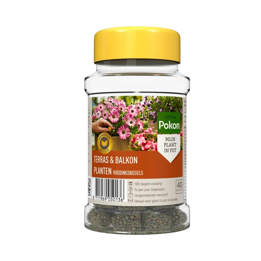 Pokon Terras & Balkon Planten voedingskegels - 40 stuks - 180 dagen voeding