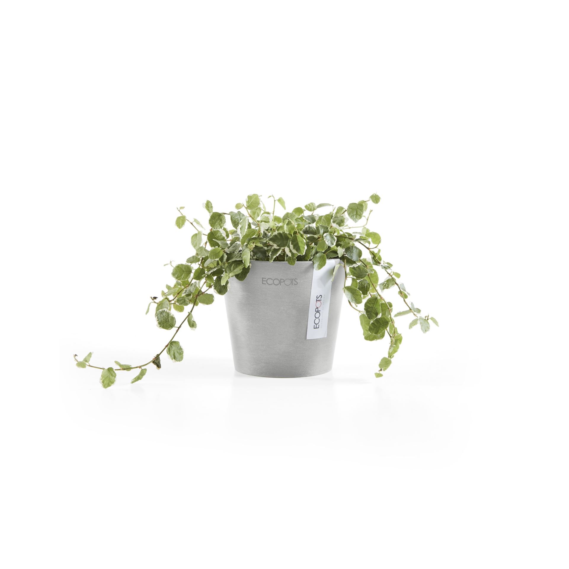 Ecopots-amsterdam-mini-white-grey-10-5-cm-H9-2-cm