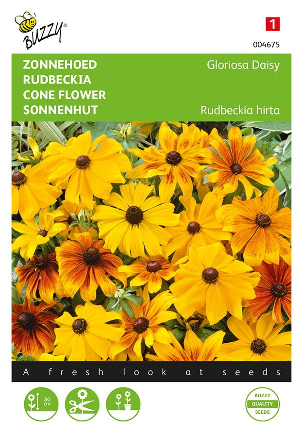 Buzzy-Rudbeckia-Zonnehoed-Gloriosa-Daisy