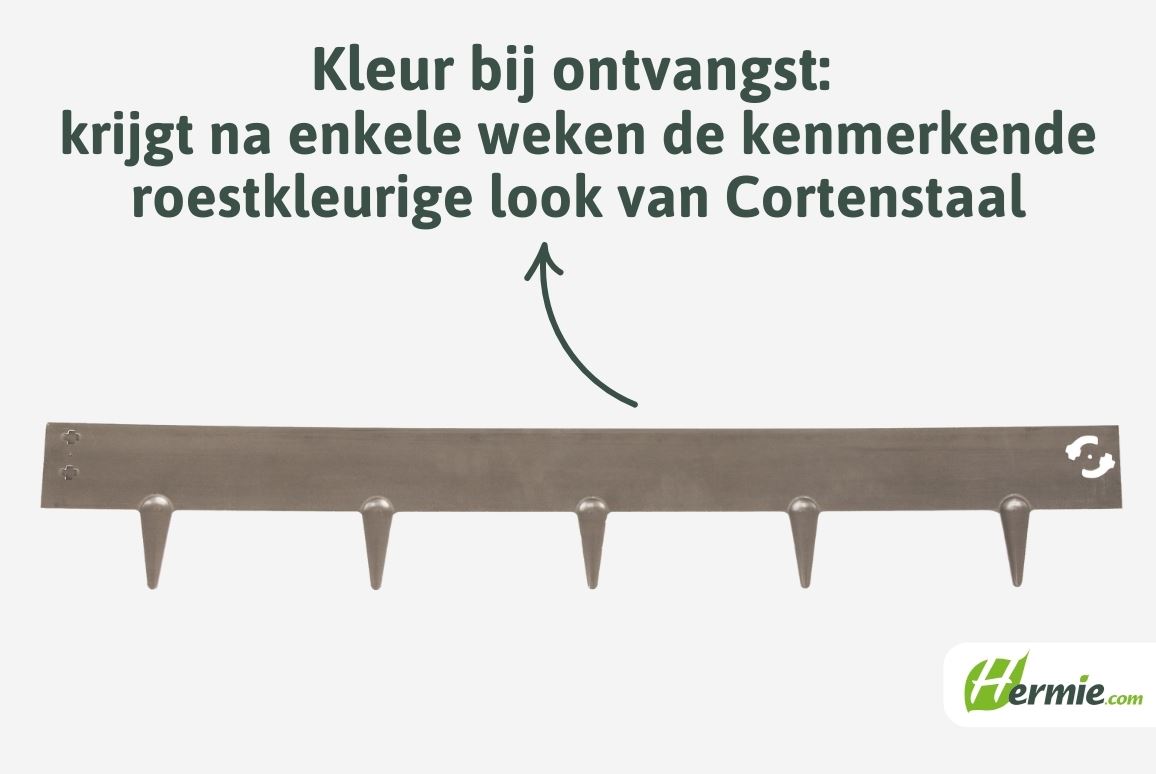 Borderrand-cortenstaal-100cm-H8cm-8cm-pin-16cm-dikte-1-2mm-Quick-fix