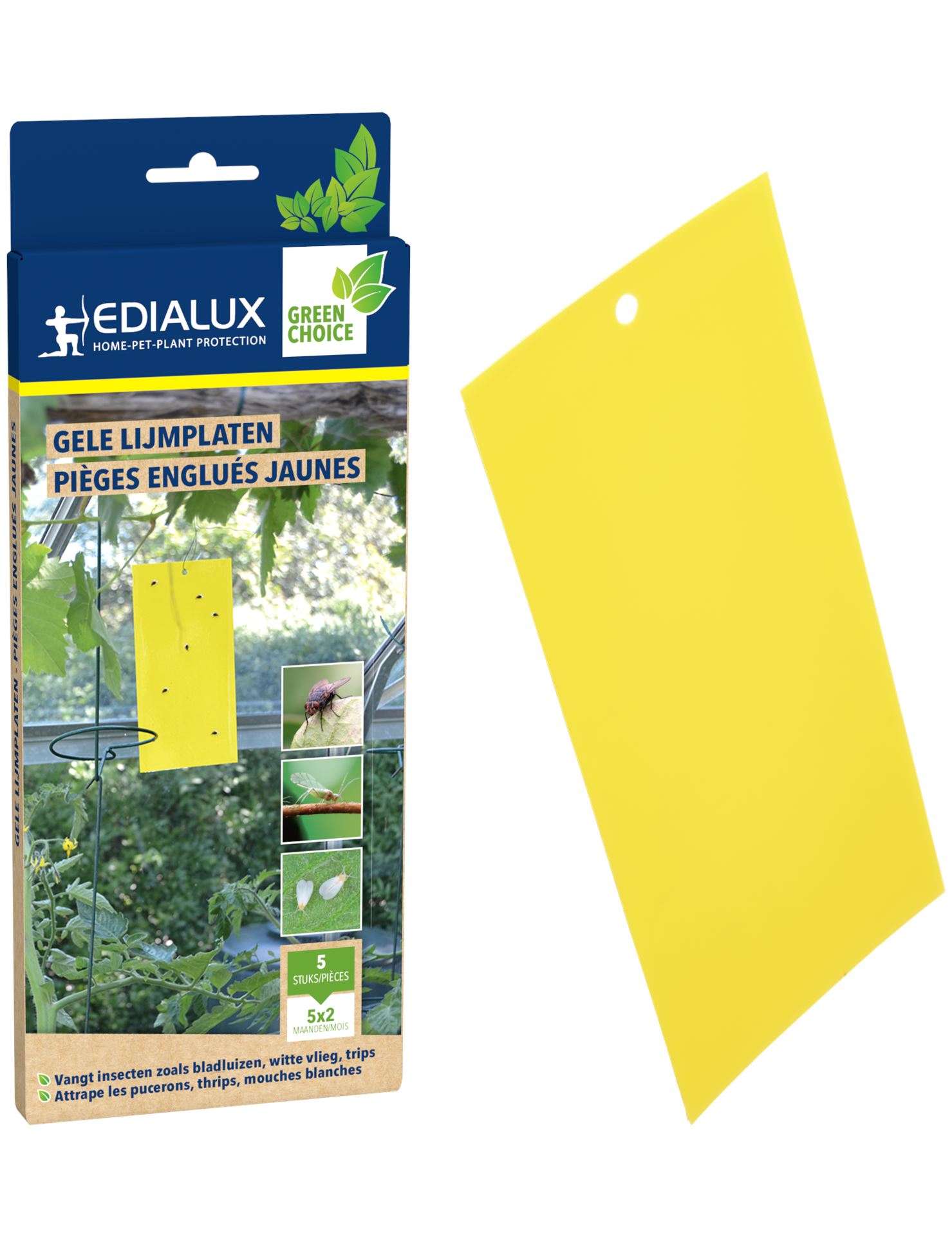 Greenprotect-gele-lijmplaten-5-stuks