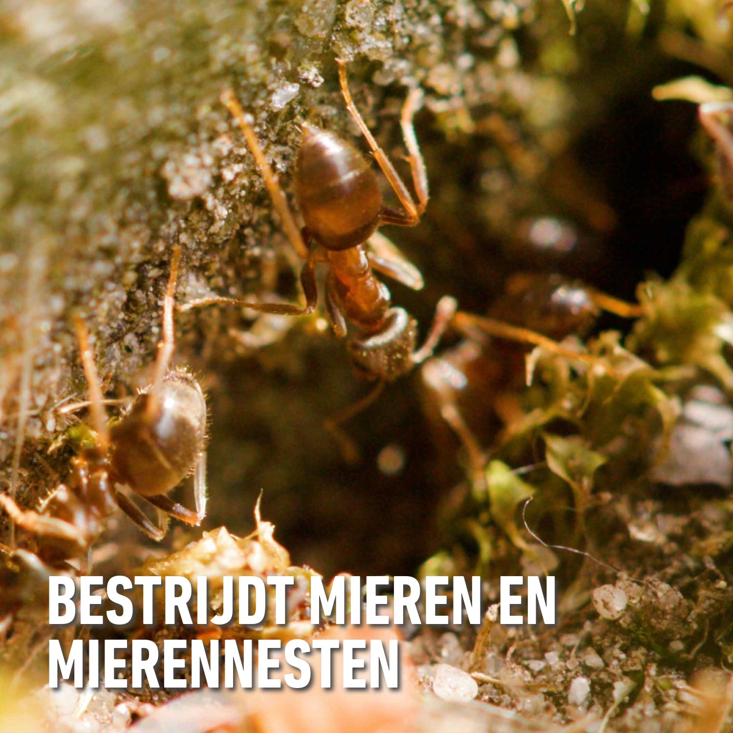 Compo-bio-mirazyl-box-4-stuks-3-1-gratis-