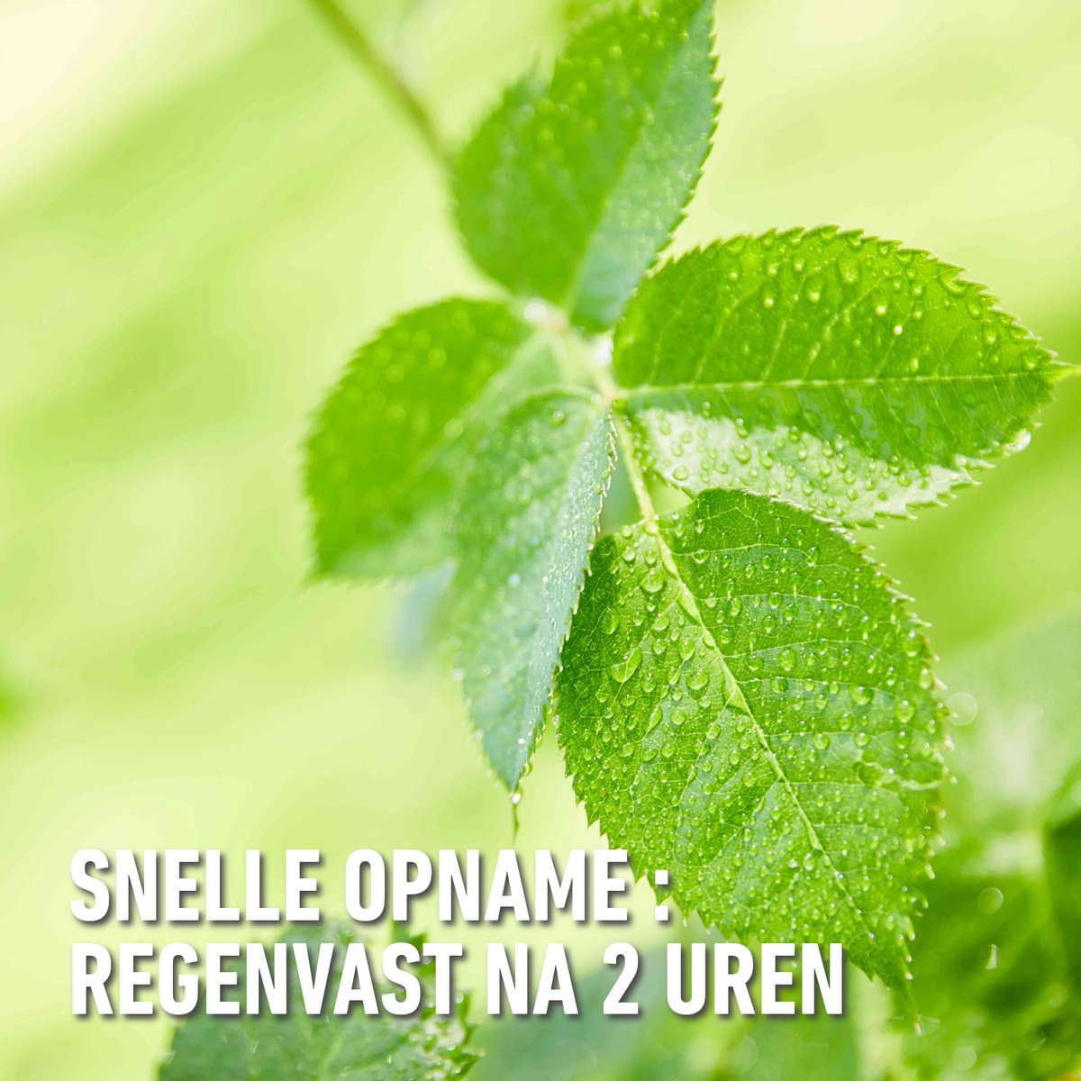 Compo karate garden 100ml - concentraat - insectenbestrijder - tegen bijtende en zuigende insecten - voor groenten, fruit en sierplanten - snelle werking - 100 m²