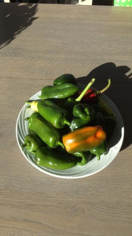 ripening without banana on plate