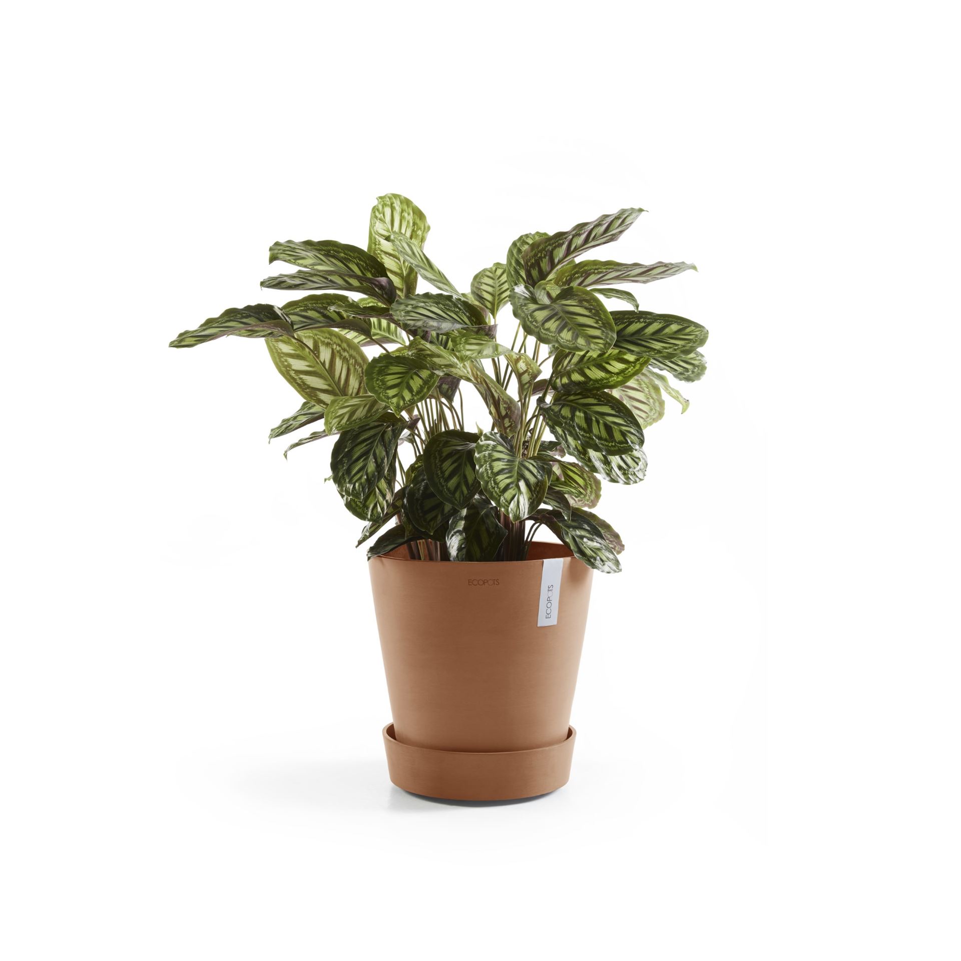 Ecopots-onderschotel-rond-met-wielen-terra-60-cm-H9-cm