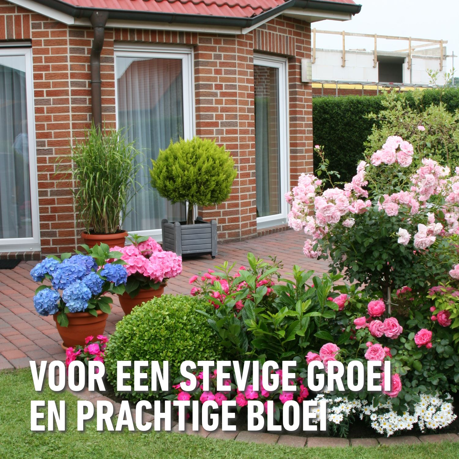 Compo-roze-korrels-5kg