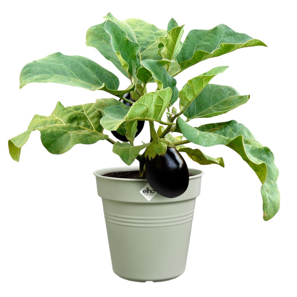 green-basics-kweekpot-27cm-steengroen