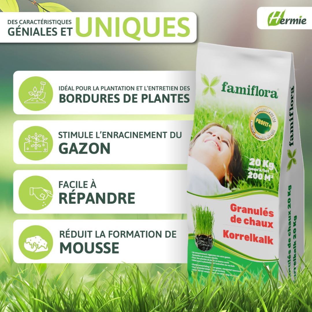 Famiflora granular lime - 20 kg up to 200 m² - for lawn