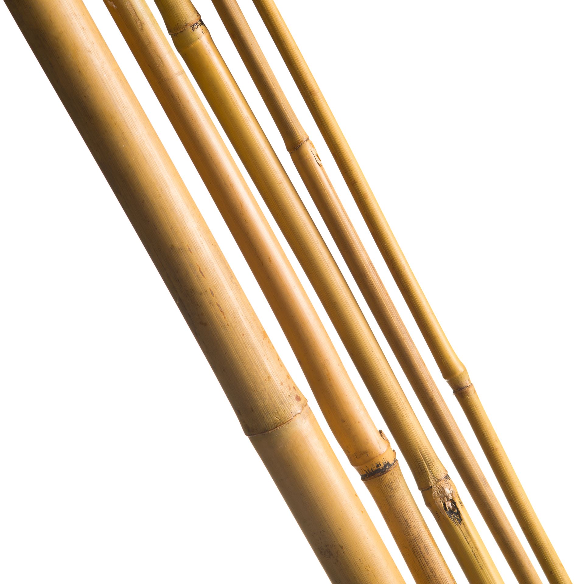 Bamboestok-naturel-H150cm-12-14mm-set-a-4-stuks