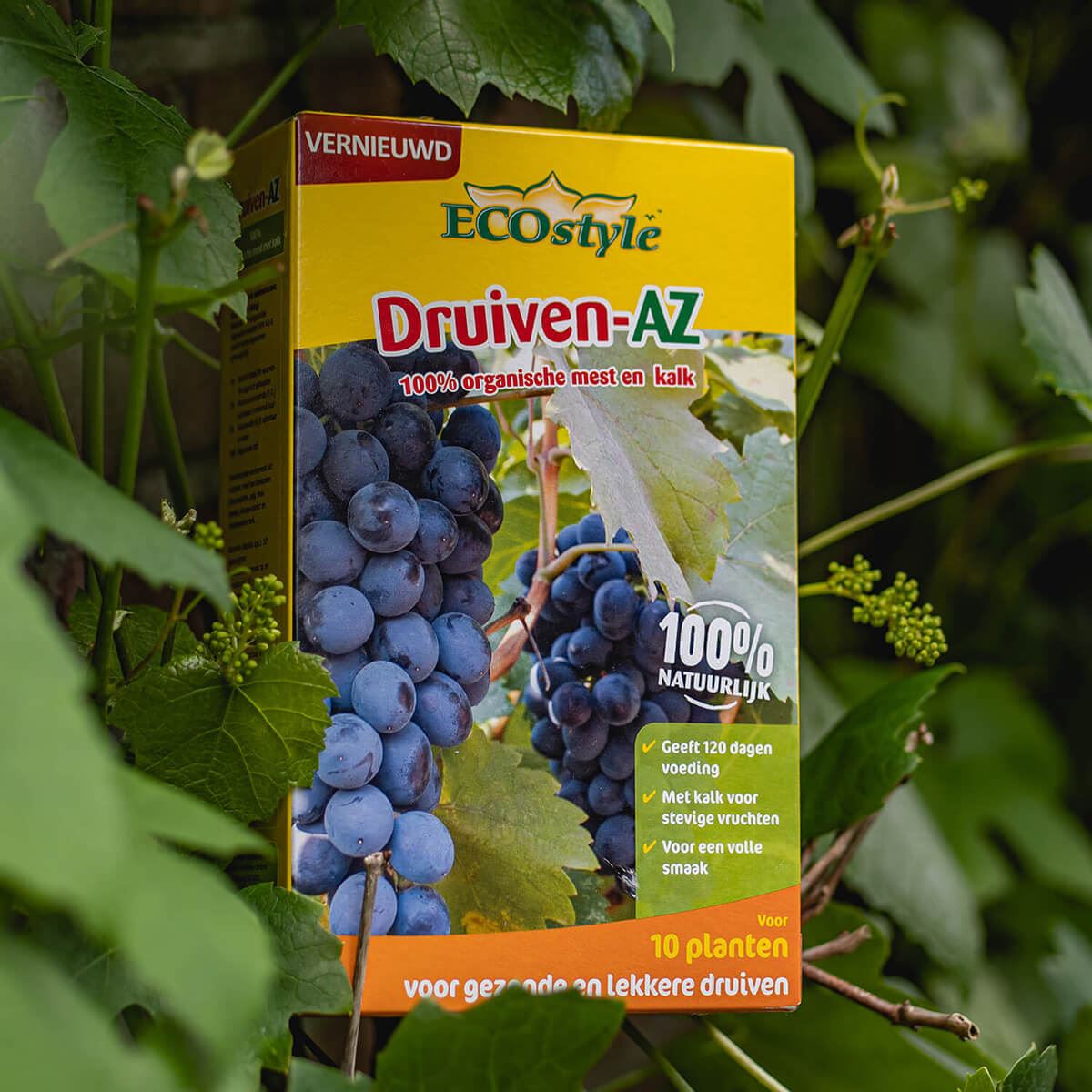 Druiven-AZ-800-g