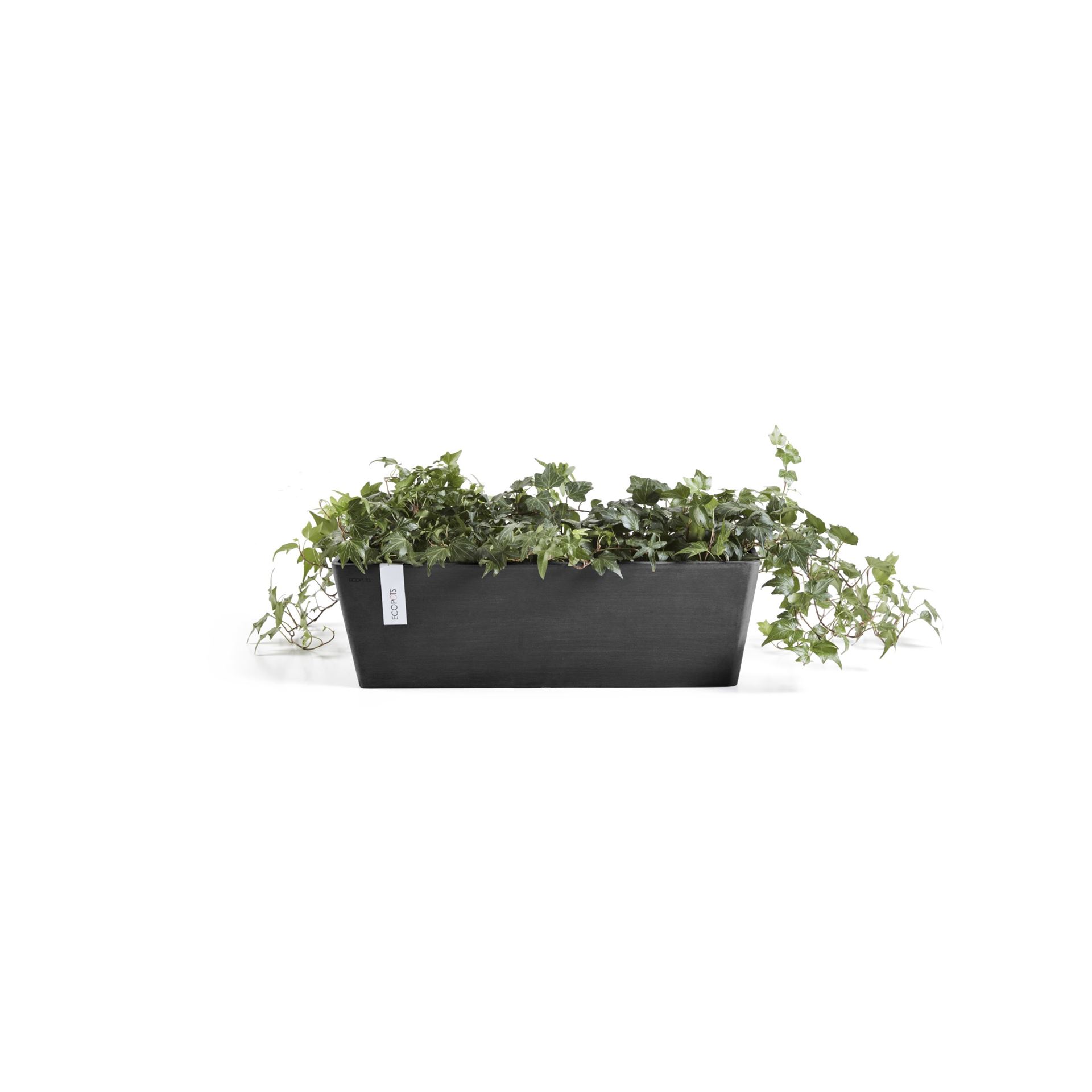 Ecopots-bruges-dark-grey-LBH-55x17x17-cm-incl-Waterreservoir