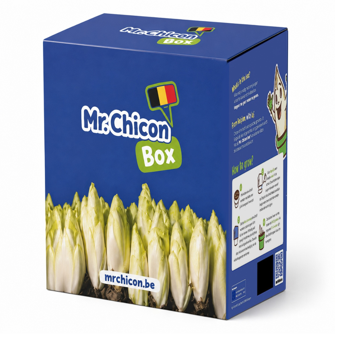Mr. Chicon Box - bac de culture prêt à l'emploi pour chicons