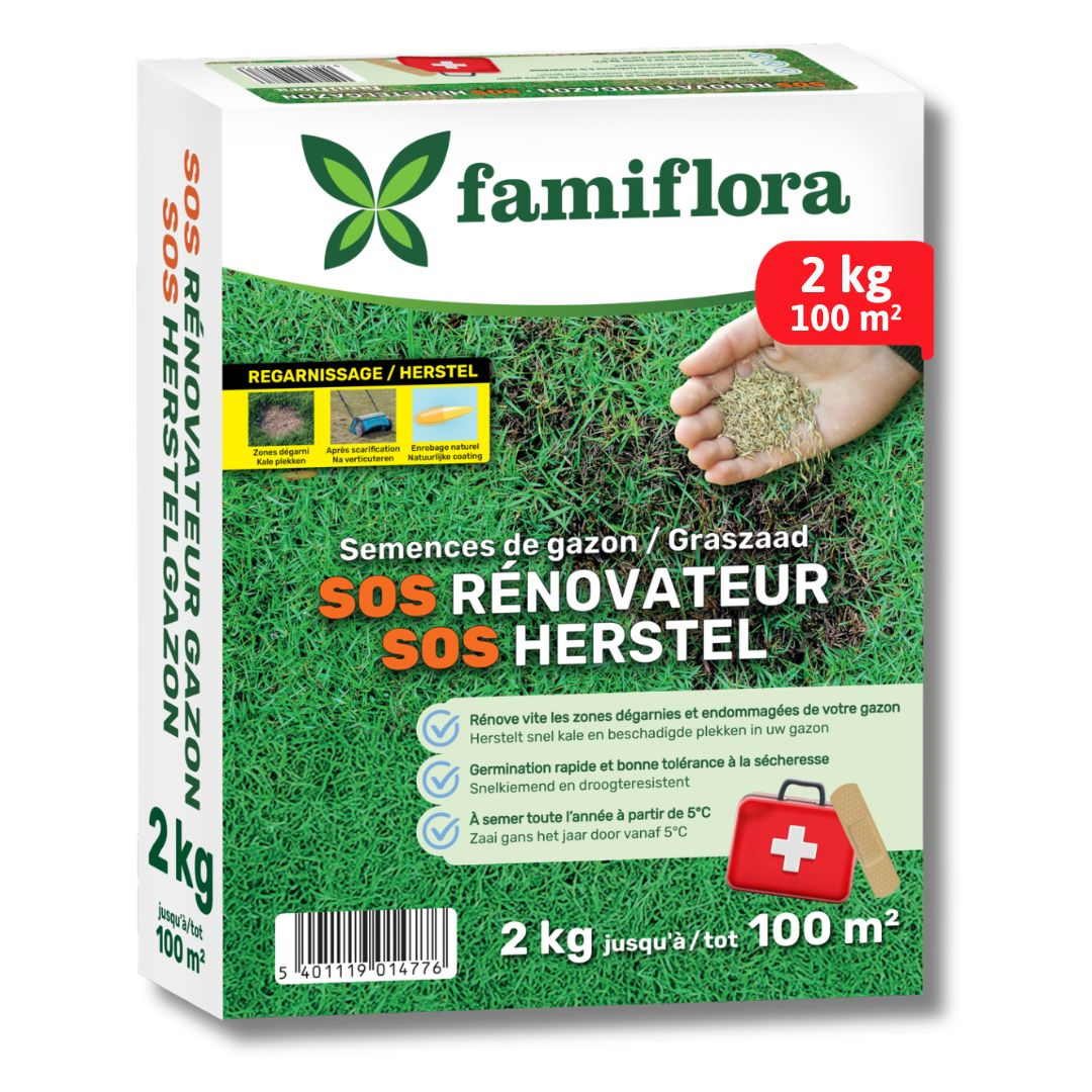 Famiflora semence de gazon 2kg jusqu'à 100m² - SOS gazon de réparation - réparation rapide des taches chauves