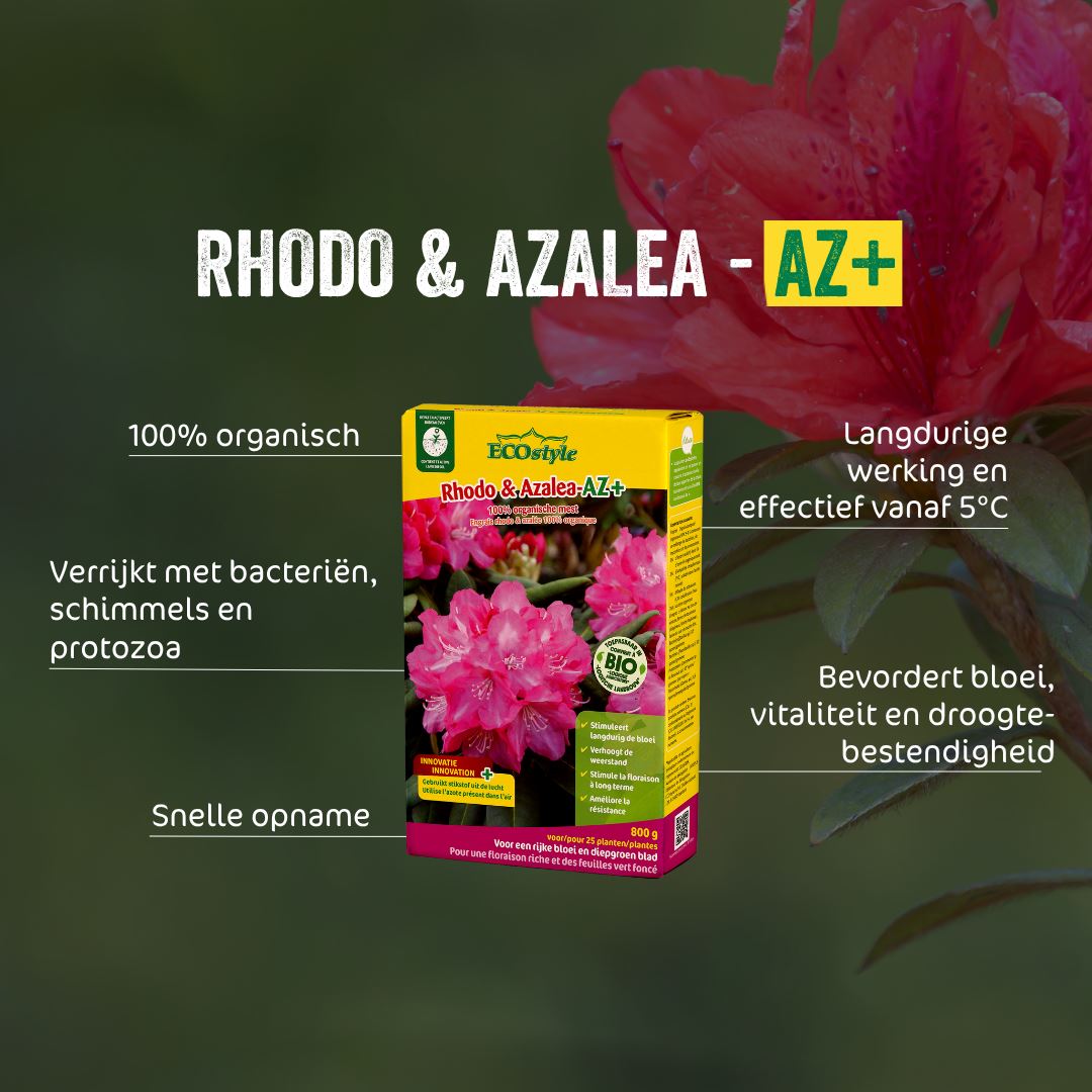 Rhodo-Azalea-AZ-1-6-kg