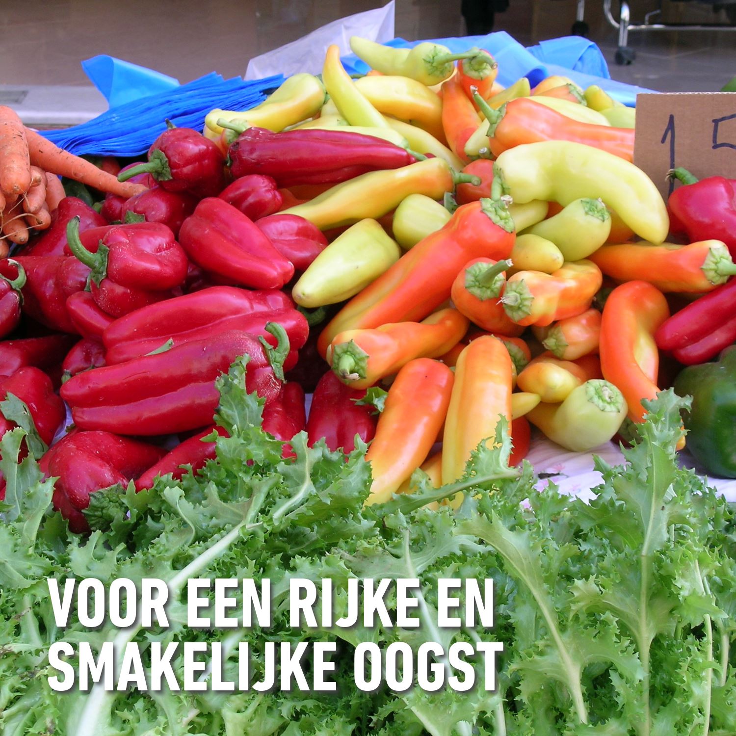 Compo-universele-meststof-blauw-novatec-2kg