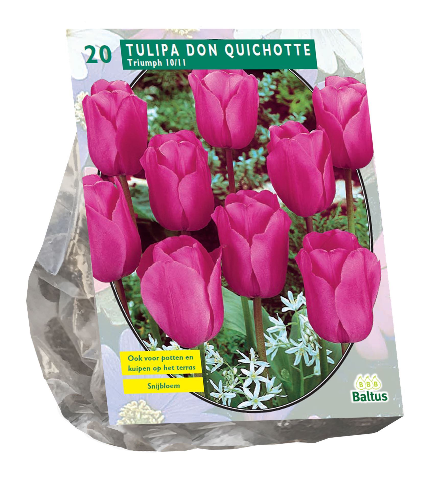 Baltus 'Tulipa Don Quichotte' voorjaarsbloeiers - Triumph - 20 bollen