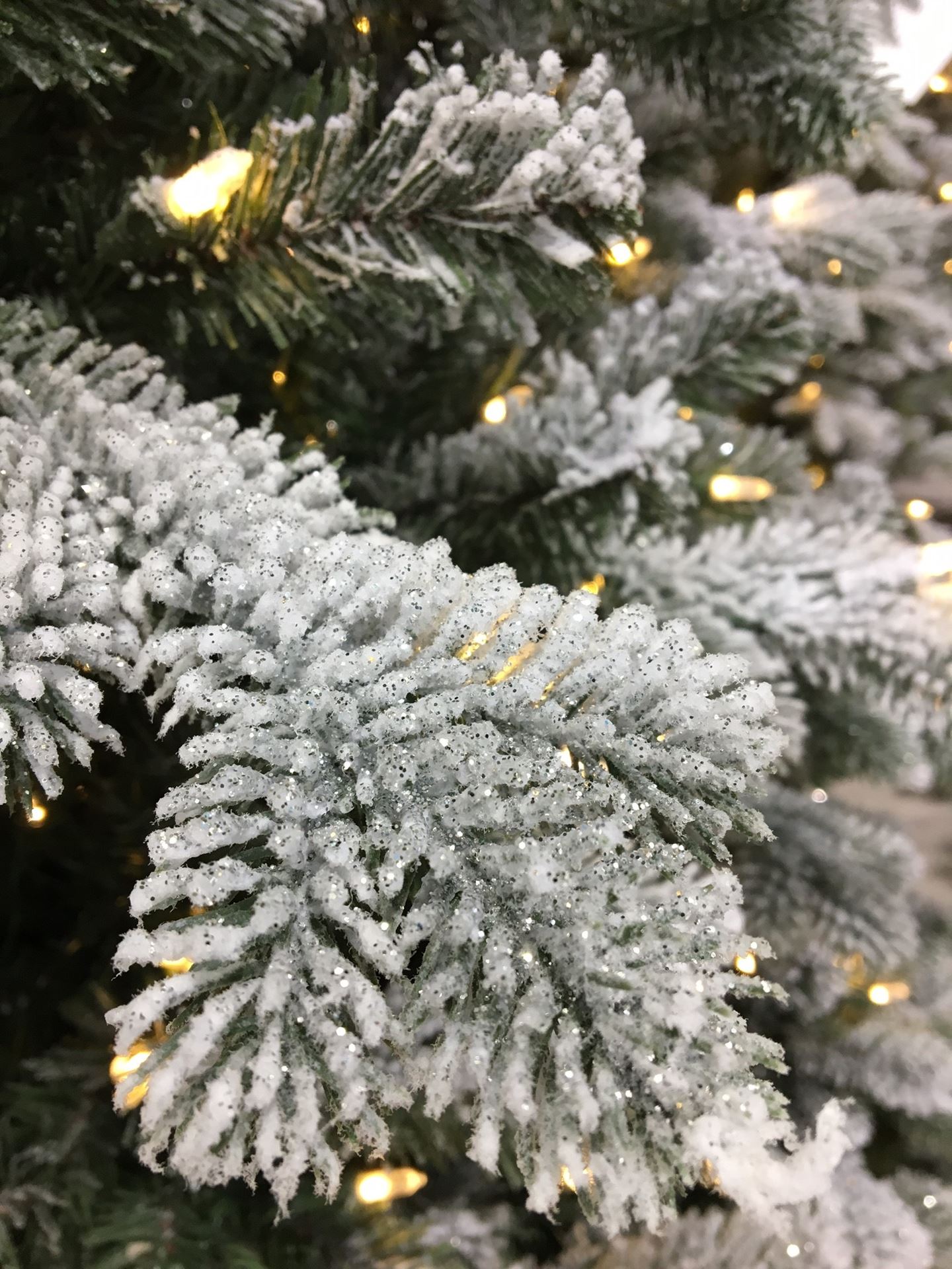 Snowy-Sheffield-Spruce-Hinged-Tree-167cm