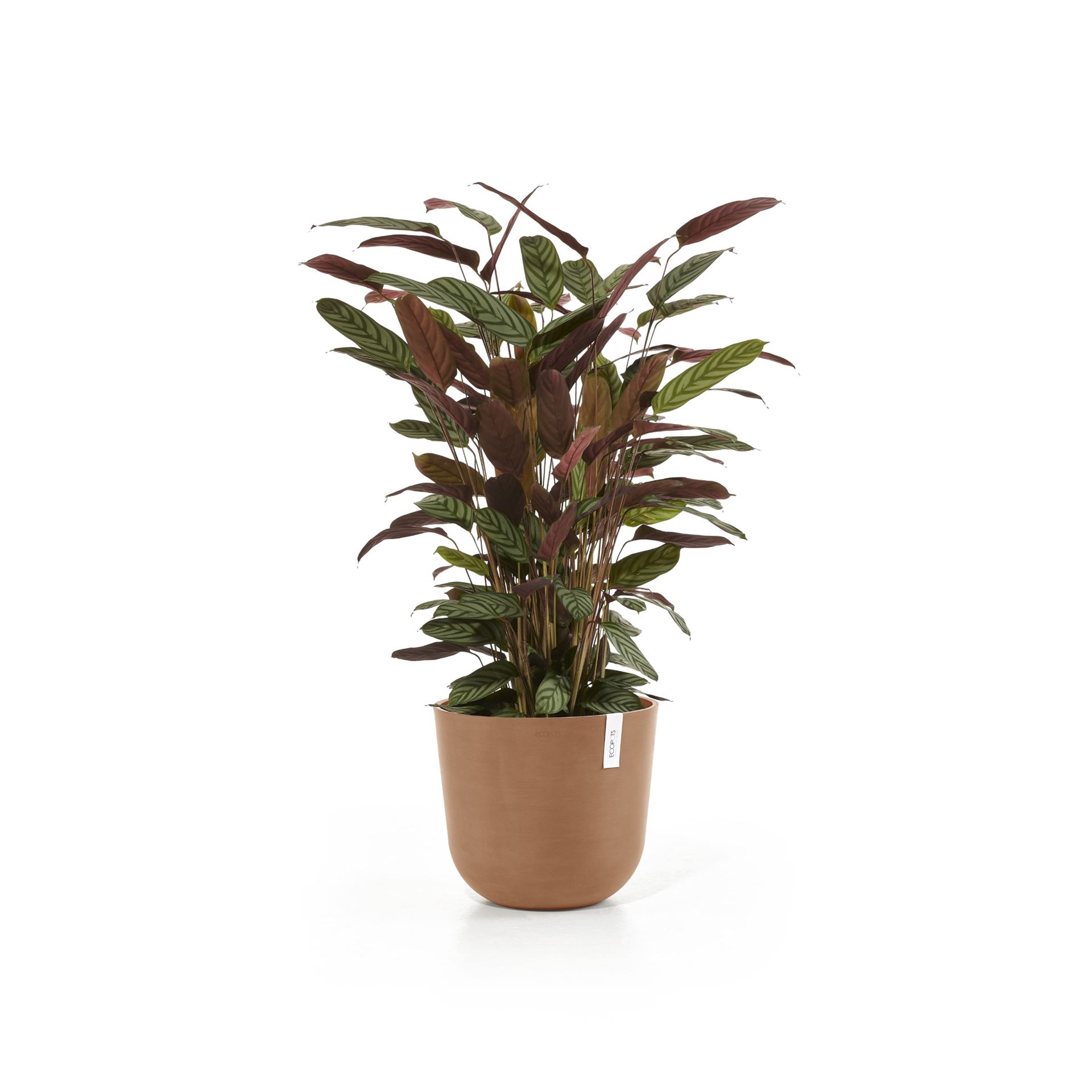 Ecopots-oslo-terra-35-cm-H30-5-cm