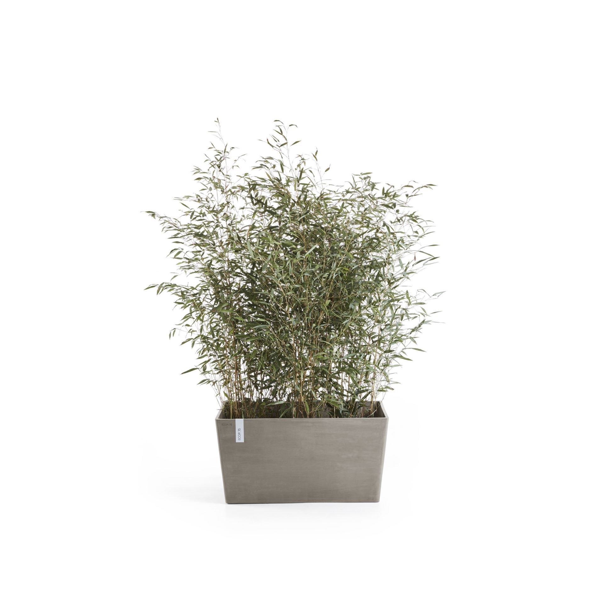 Ecopots-paris-taupe-LBH-60x26x40-cm